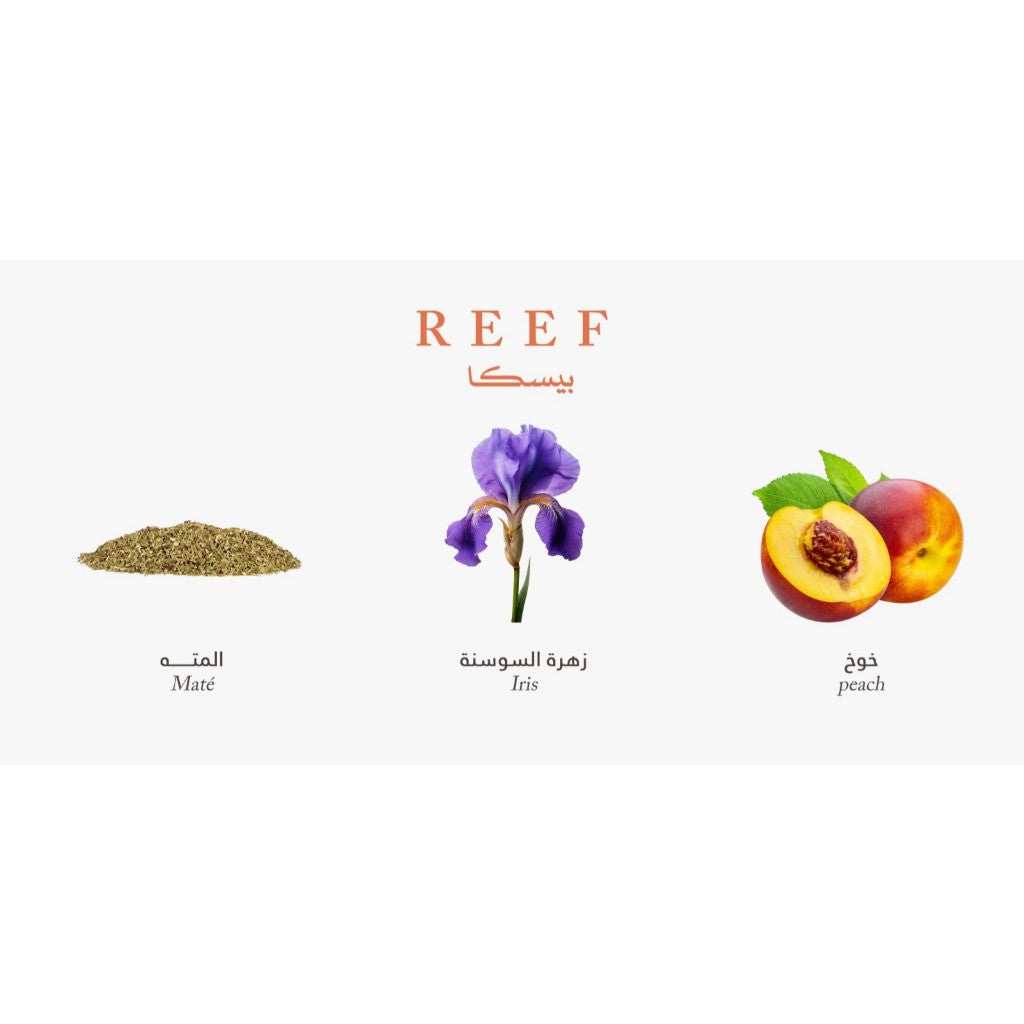 Perfume Reef Pesca 200ML 100% Original