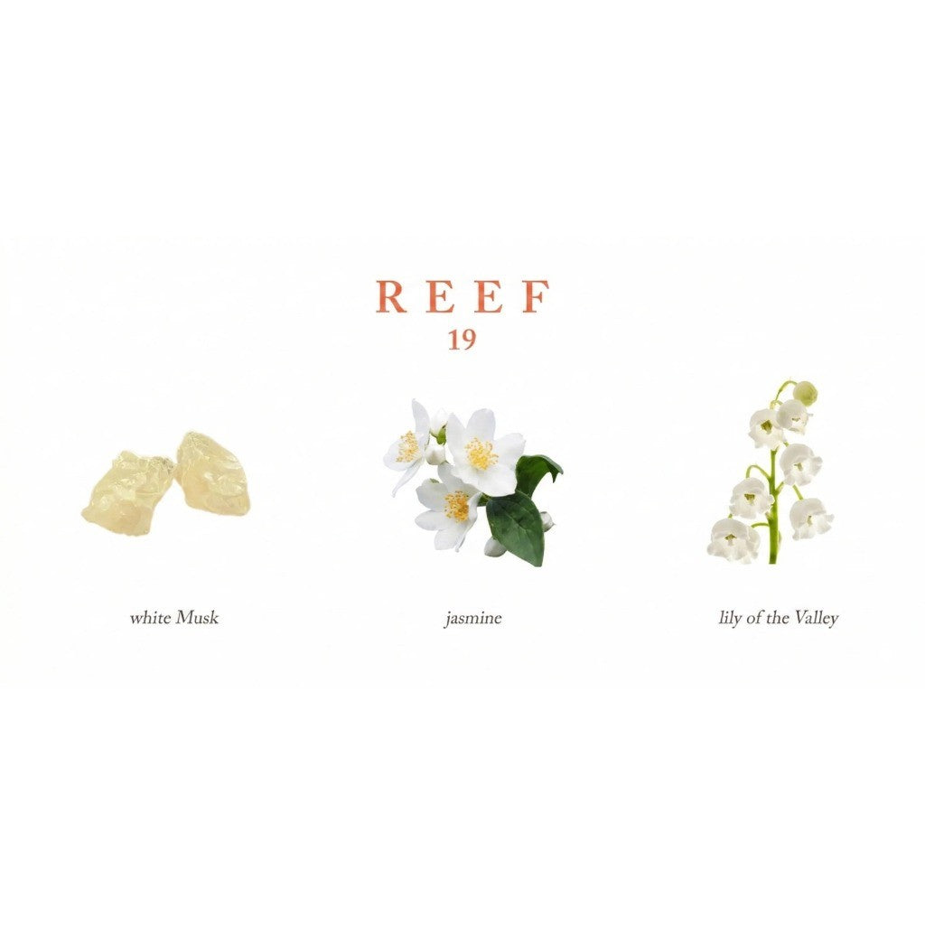 Perfume Reef 19 100ML