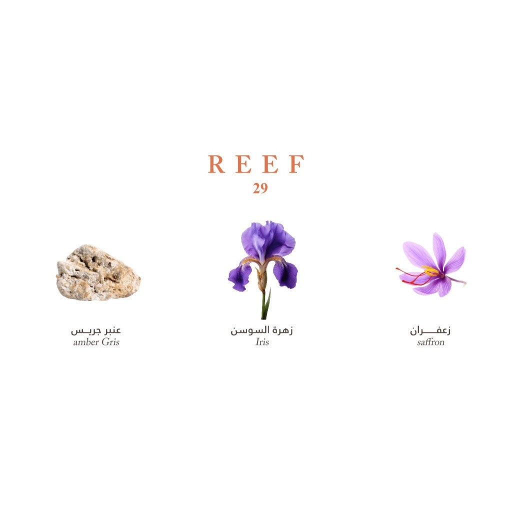Perfume Reef 29 100ML